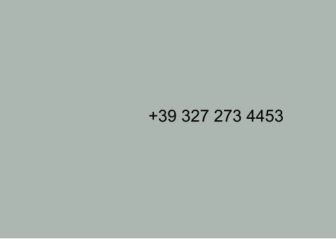 +39 327 273 4453